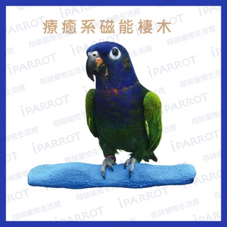實體門市｜帕麗Polly's｜磁能棲木｜磁鐵｜獨特波浪設計｜磨趾棍｜阿迷購｜鸚鵡｜棲木｜翔帥寵物生活館