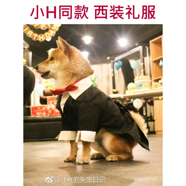 【寵物個性衣服】嚮往的生活小h同款衣服柴犬泰迪西服寵物狗西裝禮服比熊結婚生日