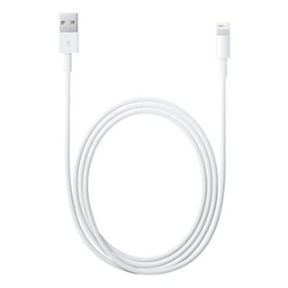Apple 原廠 Lightning 對 USB 連接線 (1 公尺) 充電 傳輸 線