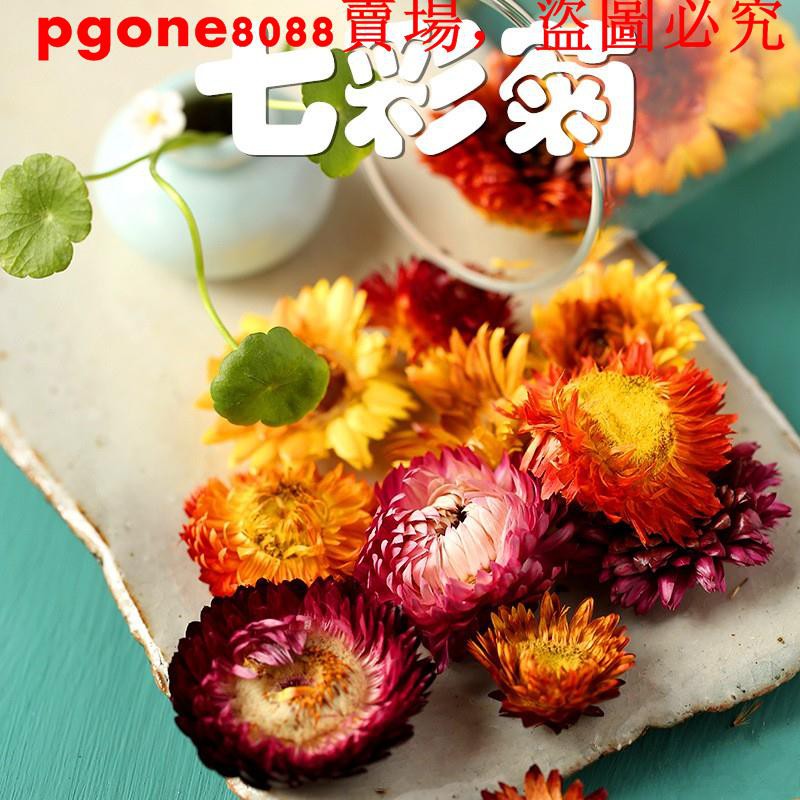 七彩菊正宗西藏七彩菊花干花散裝特級50g另售胎菊花茶非花草茶葉沖泡飲品花茶飲品 蝦皮購物
