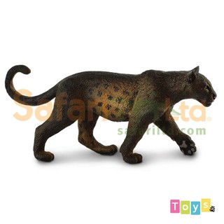 [美國Safari] 100575 黑豹模型