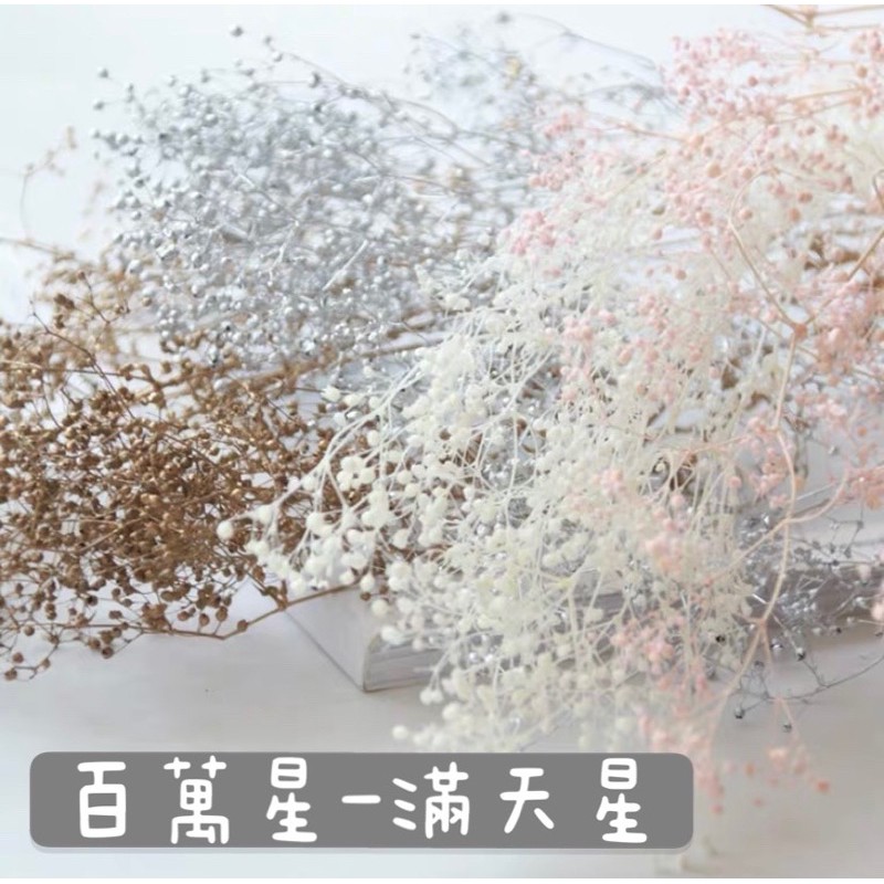 進口ａ級霞草滿天星永生花千萬星金色銀色滿天星不凋花乾燥花仿真花捧花材料diy蠟燭素材滴膠新娘頭飾