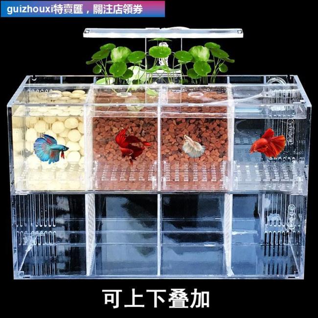 欧宝精品鬥魚缸魚缸過濾器水族箱迷你水族箱鬥魚魚缸鬥魚專用缸亞克力迷你鬥魚盒鬥魚缸觀賞