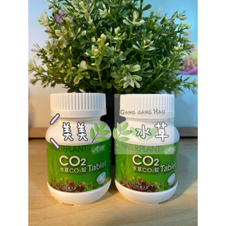 【林美美水族】🌿🌿伊士達 ISTA 水草CO2錠 【100顆罐裝】 )二氧化碳 新增 陽性 陰性 水草