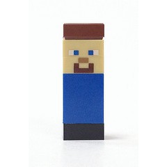 玩樂趣 LEGO樂高 創世神 21102  Micromob Steve 二手人偶(min002)