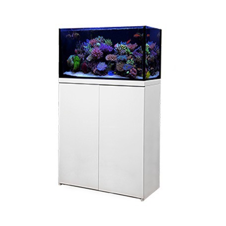 [魚樂福水族] 章魚哥 OCTO 2尺海水套缸(黑) Lux Classic 60 珊瑚礁岩缸 珊瑚缸