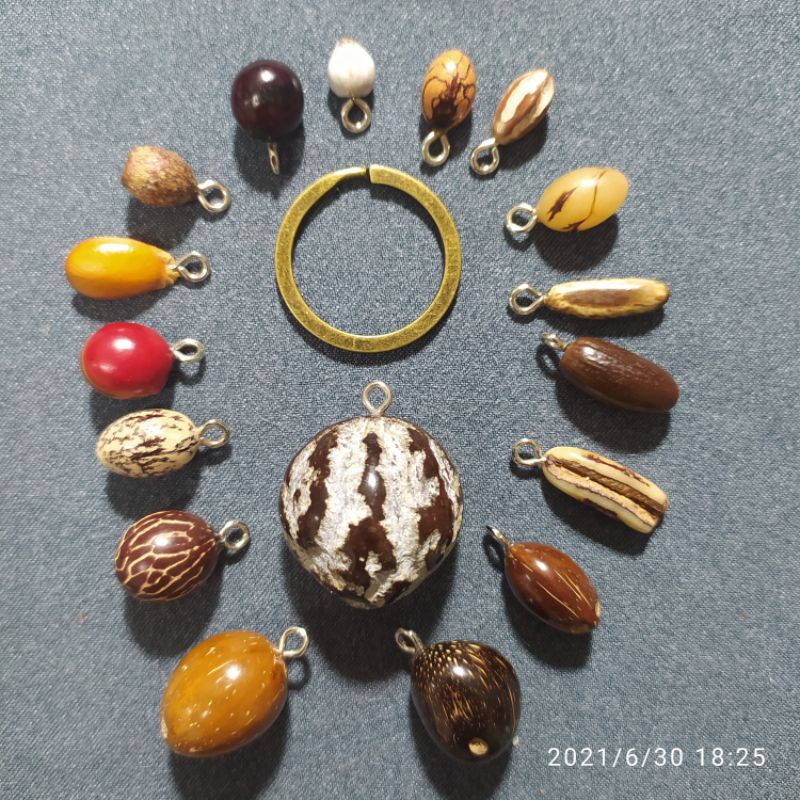 刺河魨種子手作🐡石栗17綜合種子串材料包
