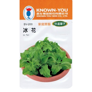種子王國 冰花(Ice Plant) sv-200 每包約200粒 農友種苗特選種子