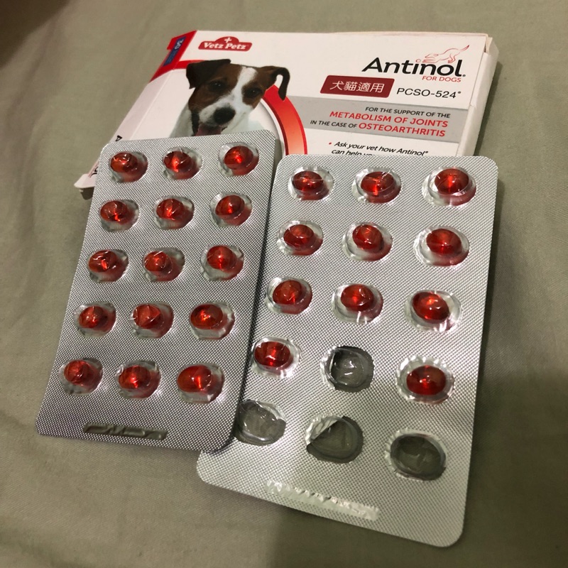 安適得 antinol 犬貓適用 保健關節