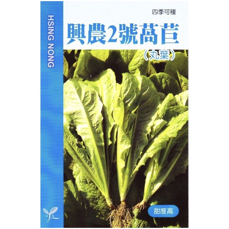 興農2號萵苣  1斤 種子 蔬菜種子 大包裝種子 興農種苗