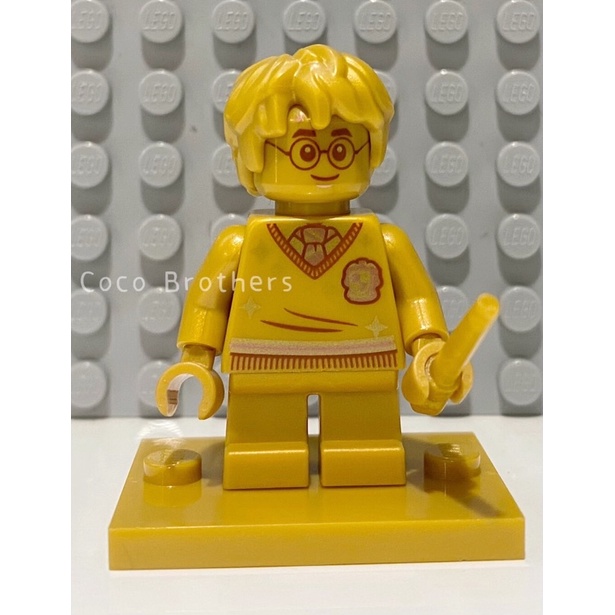 LEGO 樂高 76386 哈利波特 20週年 哈利波特 人偶 - Coco可可兄弟