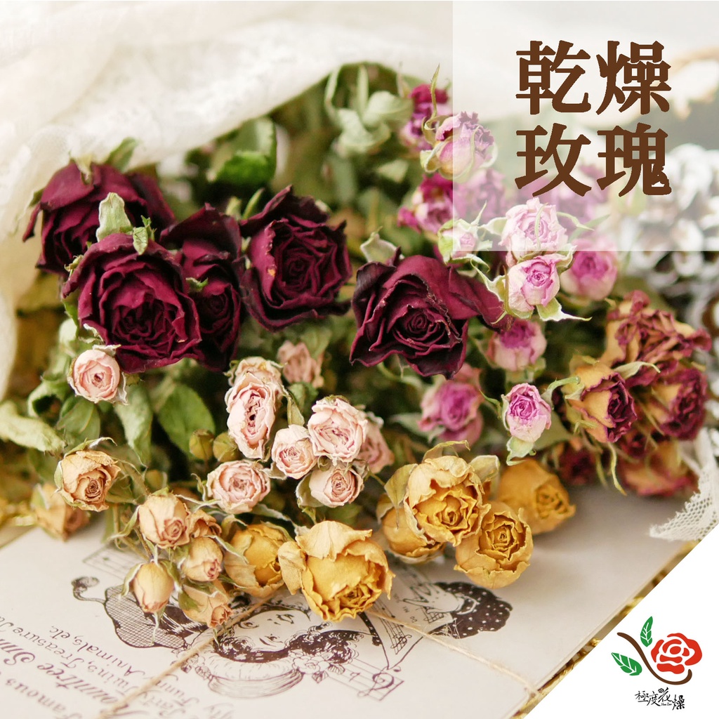 新增新品萬年紅迷你玫瑰實拍圖 極度花燥 薔薇乾燥玫瑰乾燥花不凋花永生花花材花束情人節乾燥玫瑰 蝦皮購物