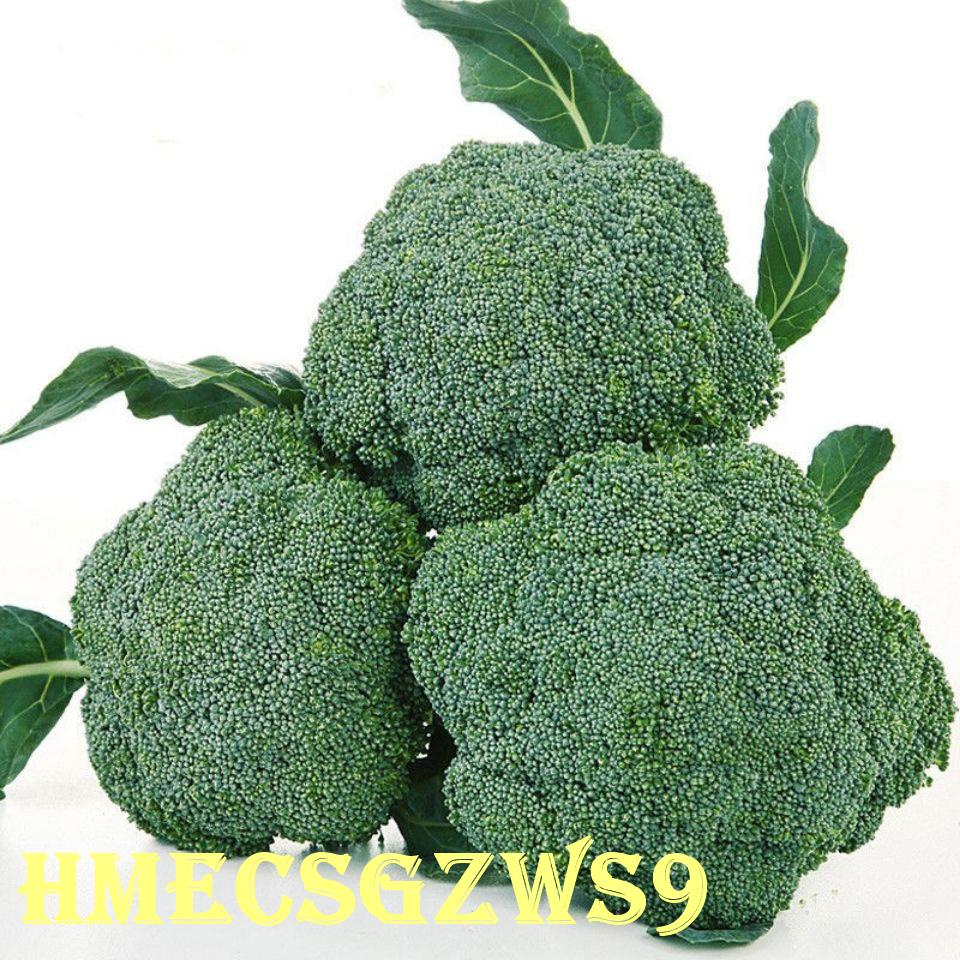 西蘭花種子的價格推薦 22年9月 比價比個夠biggo