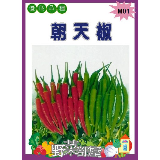 【萌田種子~】M01泰國朝天椒種子20粒 , 泰國進口種子 , 辣味強 , 每包16元~