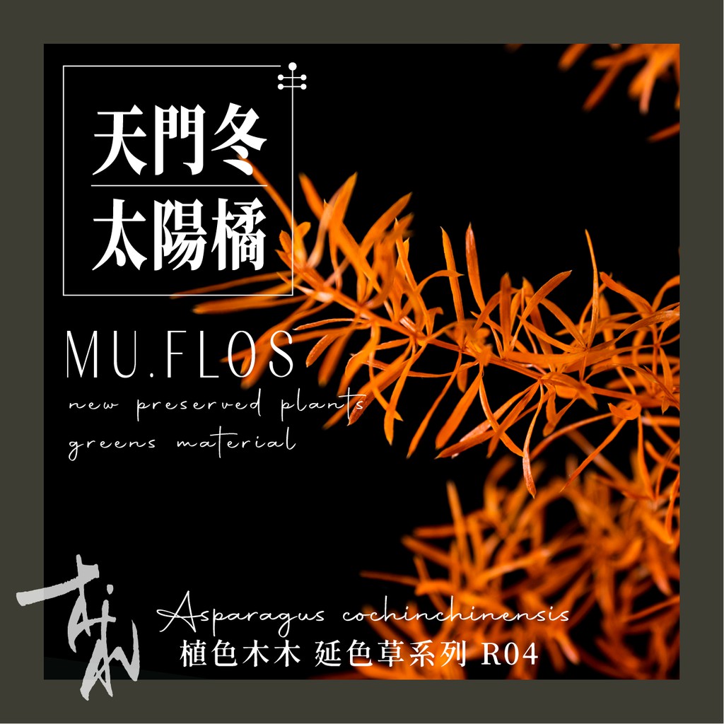 橘葉 優惠推薦 21年7月 蝦皮購物台灣