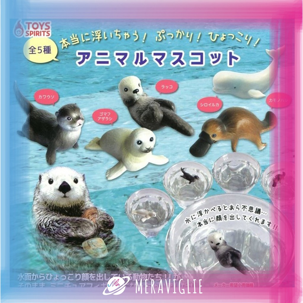 【M.M小舖】『現貨』 ToysSpirits 轉蛋 扭蛋 水面漂浮動物 水獺 海獺 海豹 海豚 鴨嘴獸 全5款