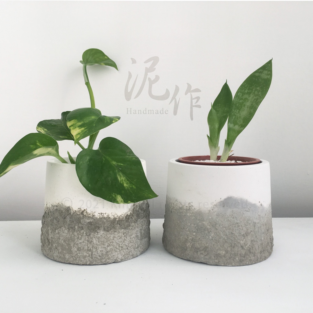 泥作 水泥盆栽圓形多肉花盆 盆器水泥盆特殊手工工法漸層色簡約盆植物多肉園藝灰色水泥紋粗曠感清水模