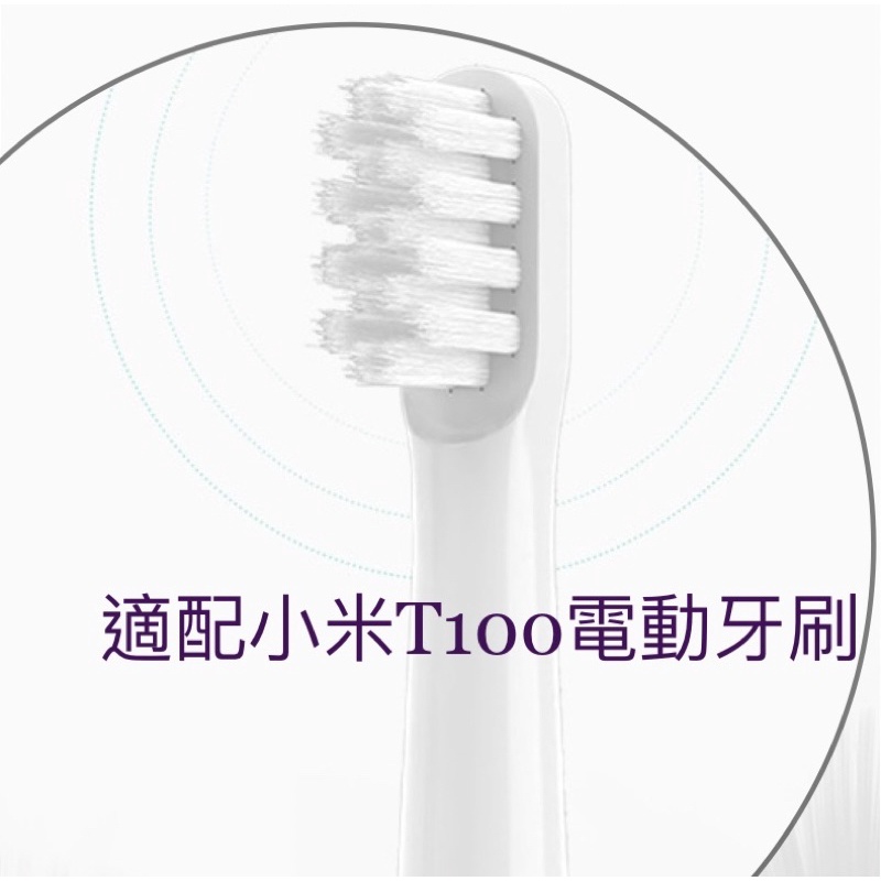 小米 T100 刷頭 電動牙刷頭 牙刷頭 米家 聲波電動牙刷替換刷頭
