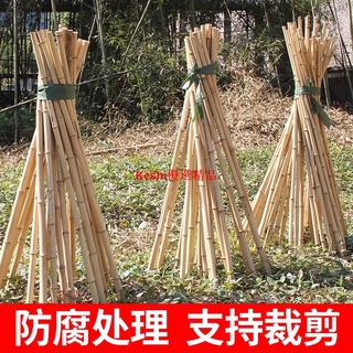 戶外花園♤戶外竹竿彩旗裝飾園搭架竹籬笆柵欄圍欄毛竹幹竹子防腐竹桿--Keshi優選精品