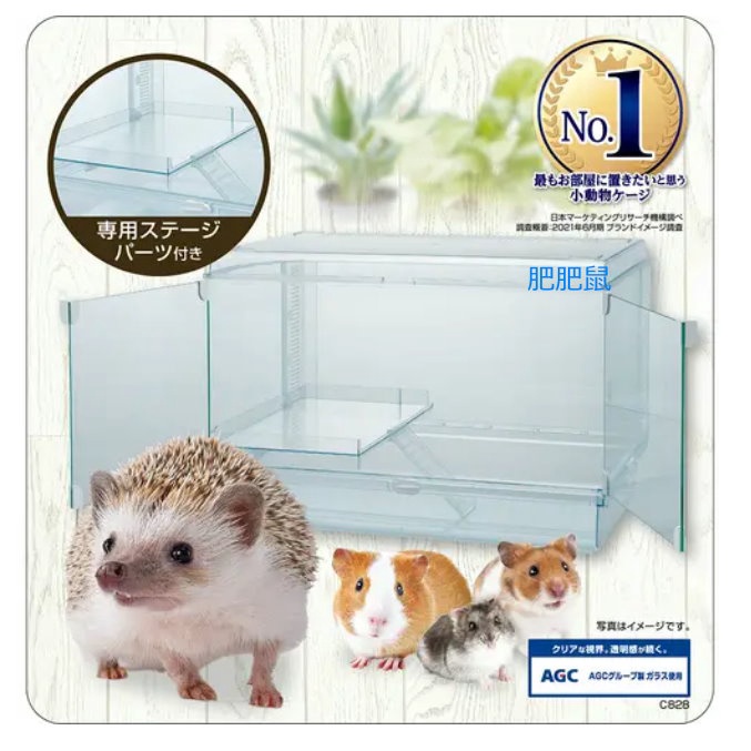 肥肥鼠 日本GEX 小寵透視屋(含層板樓梯) 600HIGH//請詳閱商品說明在訂購