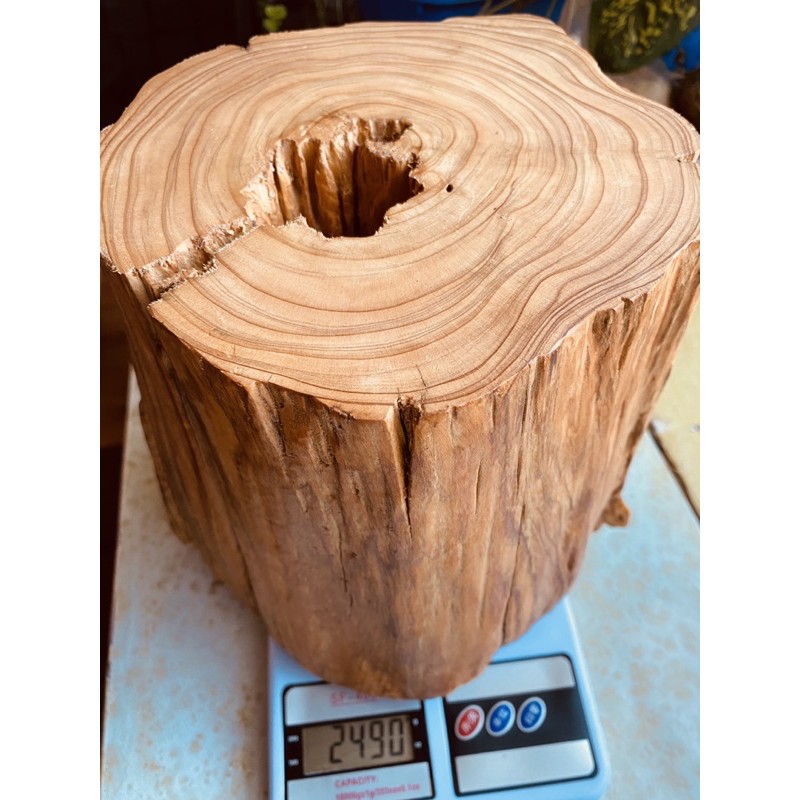 台灣檜木 紅檜 甜果香 切面紋路漂亮 中間天然風化樹洞 可當小圓凳或樹洞內種真柏類盆栽 R45