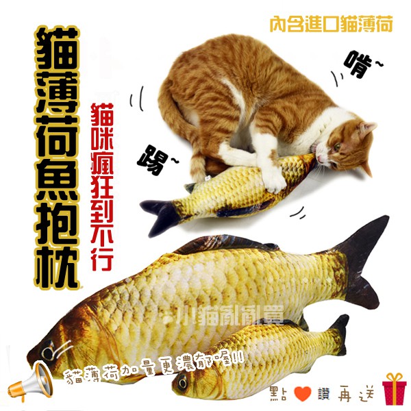 現貨 仿真貓薄荷魚抱枕玩具貓咪玩具貓薄荷逗貓棒貓玩具貓草包貓草抱枕貓草枕貓草玩具抱枕 蝦皮購物