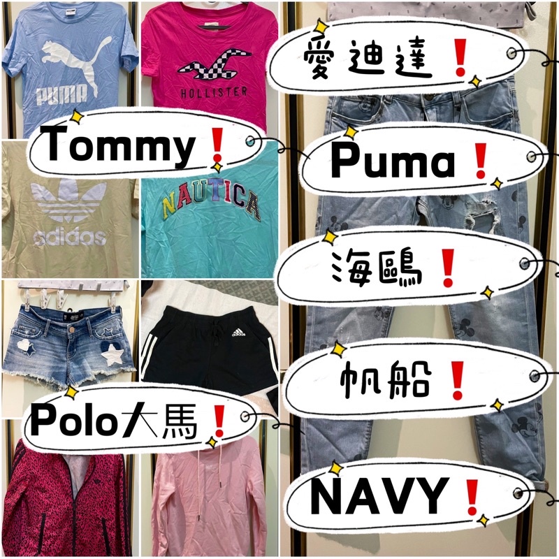 愛迪達 Puma Tommy 海鷗 Nautica 帆船 Navy Polo大馬 短褲 短袖 帽T 外套