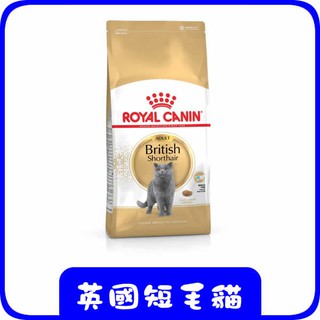 ROYAL CANIN 法國皇家 BSK34 皇家英國短毛貓--(2,4,10)公斤
