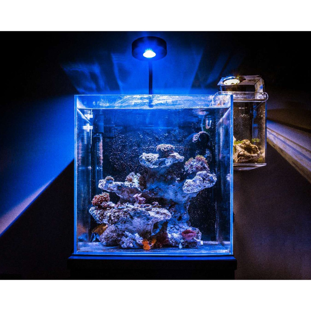 24h出貨 一年保固 水中騎士二代海水燈珊瑚燈海水魚燈水族燈水草燈魚缸燈全光譜 蝦皮購物