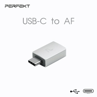 【輕辦公】PERFEKT USB C 3.2 to USB A 公對母 快充傳輸轉接器 PT-CF100 黑色 旅行隨身