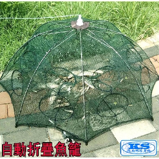 折疊漁網 4進 8進 10進 12進 16進 20進 傘狀漁網 捕魚網 捕魚籠 捕蝦網 提網蝦籠 自動漁網 KS