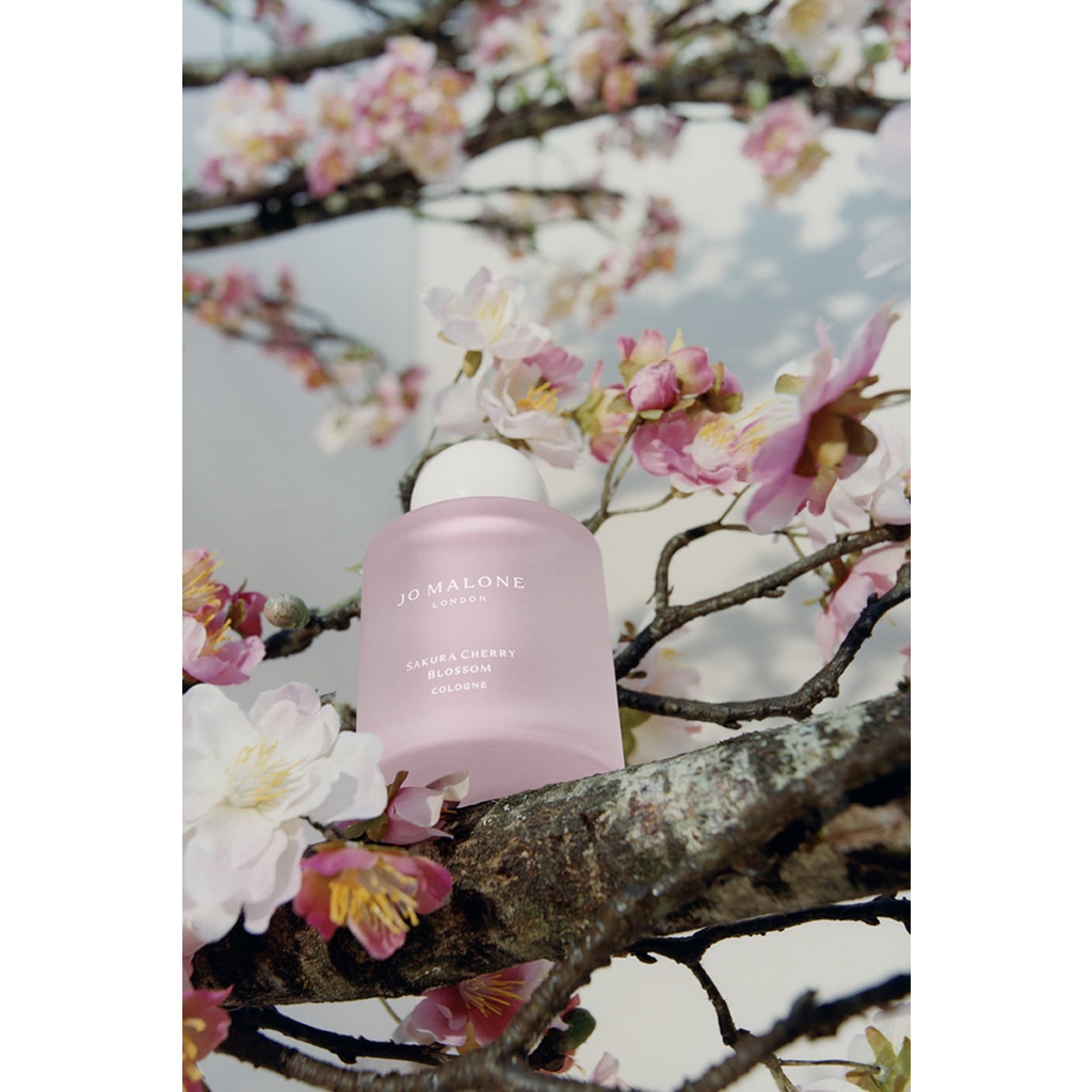 2022春 現貨 日本限定 Jo Malone Sakura Cherry 櫻花香水 正品 限量 香水 櫻花