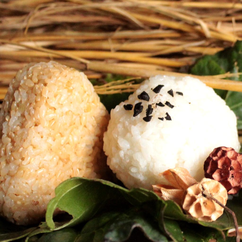 莊正燈的白米 全國十大經典好米 最安心的白米 2kg 年菜 伴手禮 活動專區 痞客邦