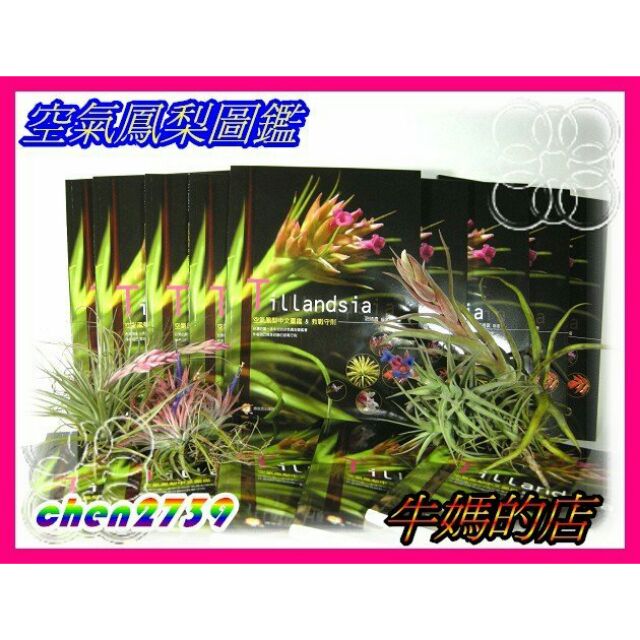 空氣鳳梨圖鑑空氣鳳梨tillandsia 空氣鳳梨中文圖鑑 教戰守則祝椿貴著限量本免運費 蝦皮購物