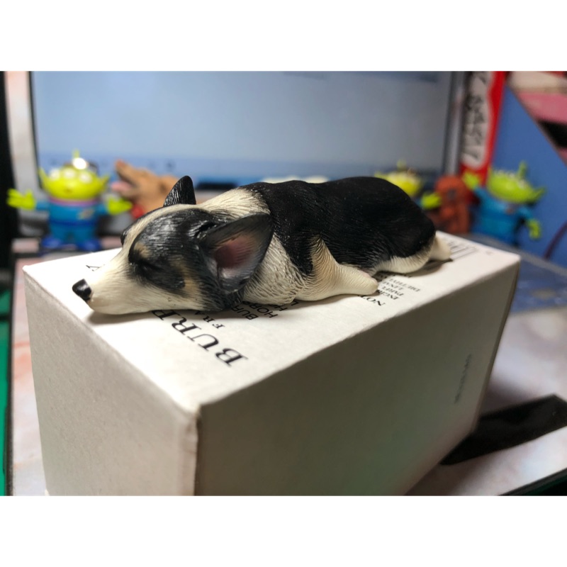 爆睡犬 爆睡柯基 日本盒玩 磁鐵設計 狗擺飾 玩具 公仔 黑色趴睡柯基 扭蛋 寵物