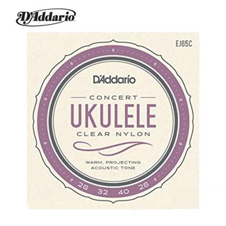 【鳳山名人樂器】D'addario EJ65C 23吋 烏克麗麗弦 美國