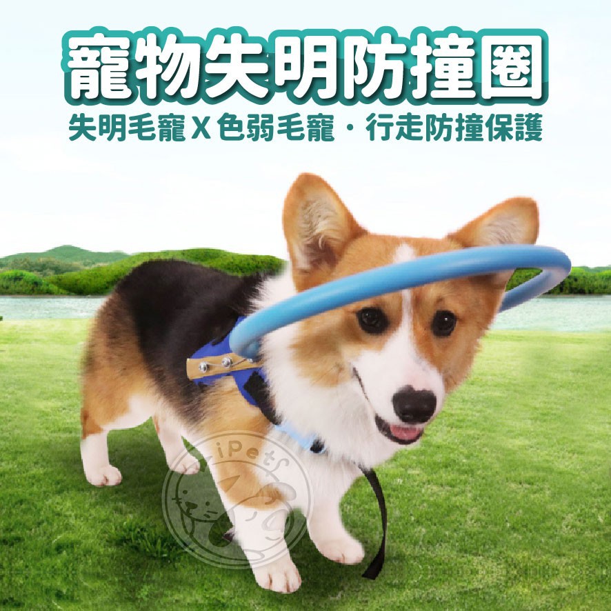 寵物失明防撞圈狗狗失明防撞盲犬貓安全圈寵物項圈白內障寵物保護圈狗貓防撞環導盲圈防止寵物碰撞