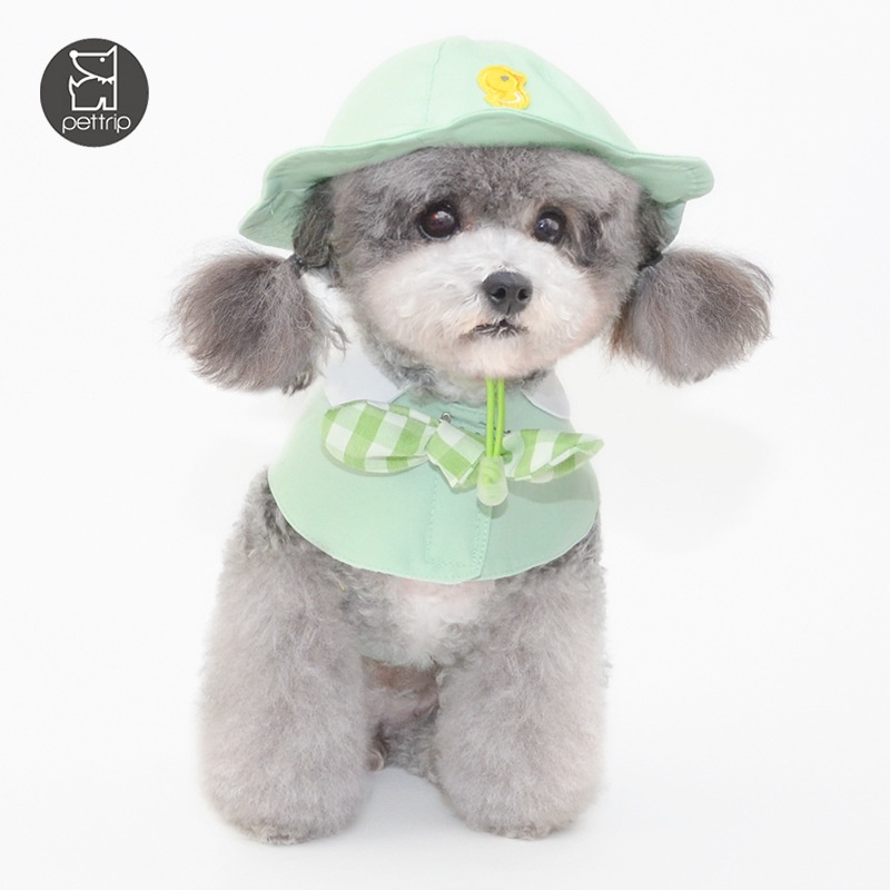 21新款 春夏新款小鴨子寵物帽子狗狗帽子小狗遮陽帽瓜皮帽小型犬帽子寵物飾品寵物王國 蝦皮購物