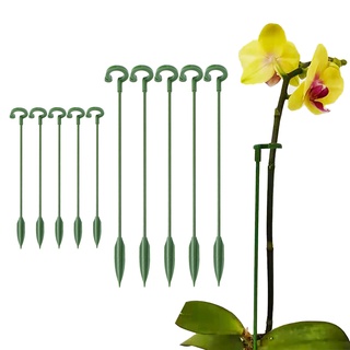 植物支架花園盆景支撐樁單莖灌木支架蝴蝶蘭花多肉植物盆栽支撐桿植物支架植物防倒支架蝴蝶蘭支架固定植物