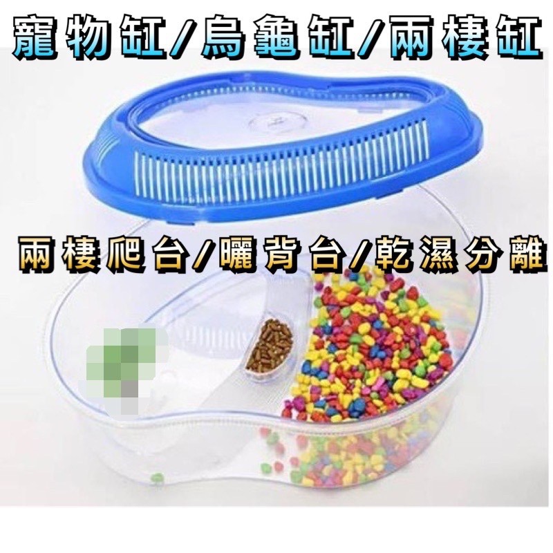 動力水族 寵物缸兩棲缸烏龜缸角蛙缸手提式飼育盆飼育箱寵物箱寵物盒曬背缸爬缸角蛙烏龜水龜 蝦皮購物