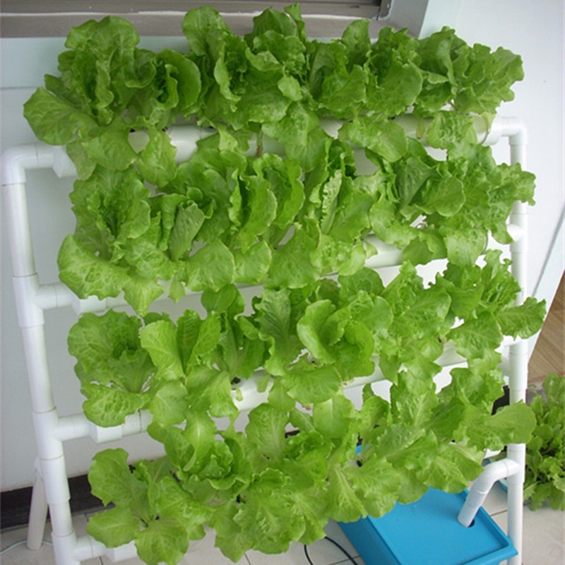贈送配套大禮包 家庭種植有機蔬菜立體花架日本環保食品級水培蔬菜陽臺管道無土栽培種植機花盆架子管道種植機 蝦皮購物