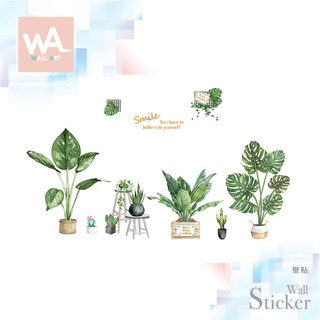 Wall Art 臺中門市現貨 無痕設計壁貼 防水貼紙 桌布佈置 清新 北歐 蕨葉 植物 盆栽 仙人掌 龜背芋 33