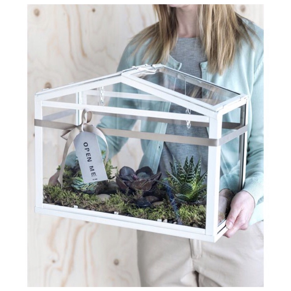 Ikea代購 溫室45x22x35公分展示櫃種花植物室內 戶外用屋型置物盒陳列展示盒多肉 蝦皮購物
