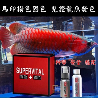 魚舖子水族 大出清 水族工具書 龍魚世界iv 金龍篇 龍魚世界v 龍魚成長紀錄 蝦皮購物