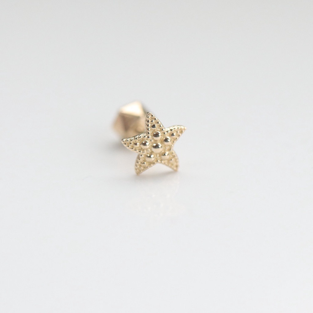 14K Gold Starfish Piercing 金海星鎖珠耳環(單個) K金 耳環