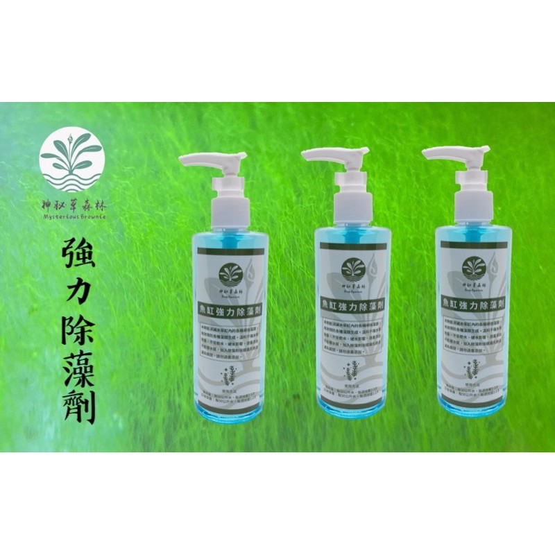 水草辣椒榕 Ptt Dcard討論與高評價網拍商品 21年9月 飛比價格