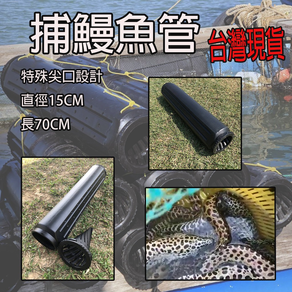鱸鰻管在拍賣的價格推薦 23年1月 比價比個夠biggo