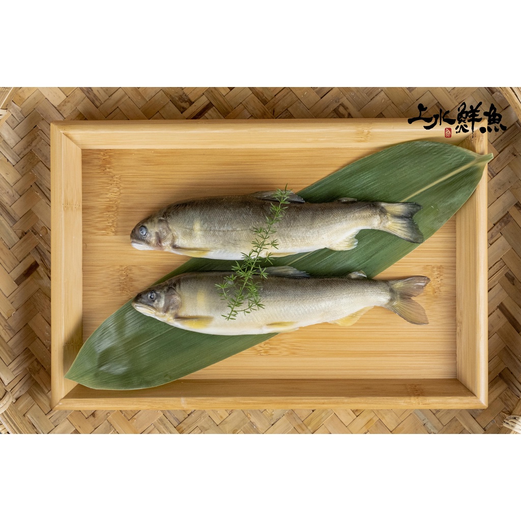 宜蘭黃金公香魚(8入)_適合鹽烤、香煎