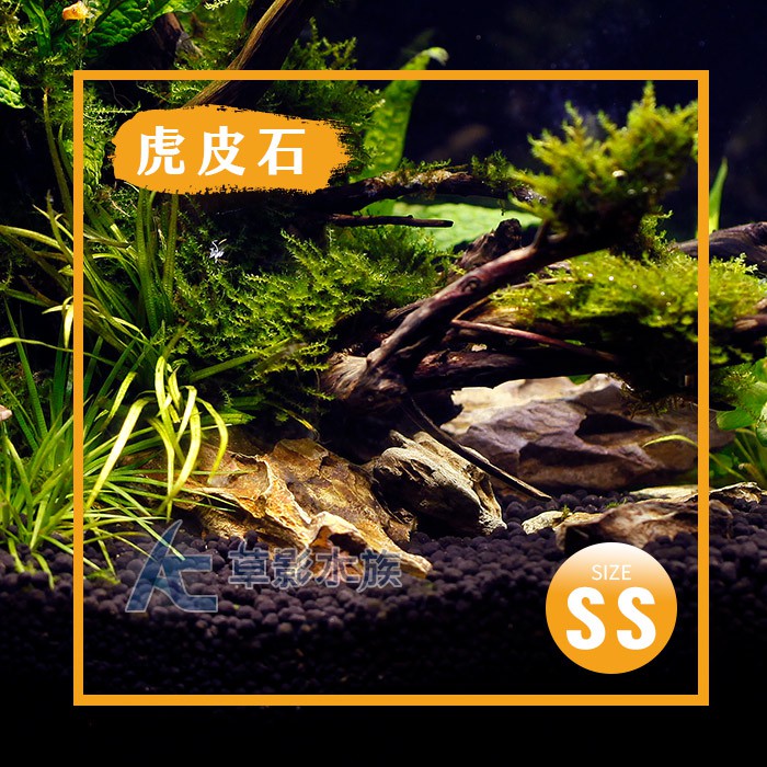 【AC草影】虎皮石（SS碎石/1kg）【一份】天然石材 ADA造景專用 水族造景 魚缸造景 石材造景 水族箱裝飾 松皮石