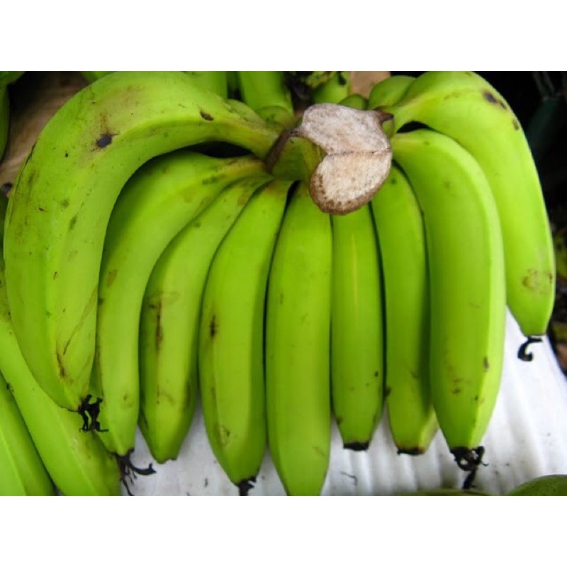 綠色香蕉還沒熟的1斤25元10斤250元